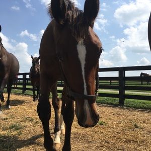 Meet your Posher, John